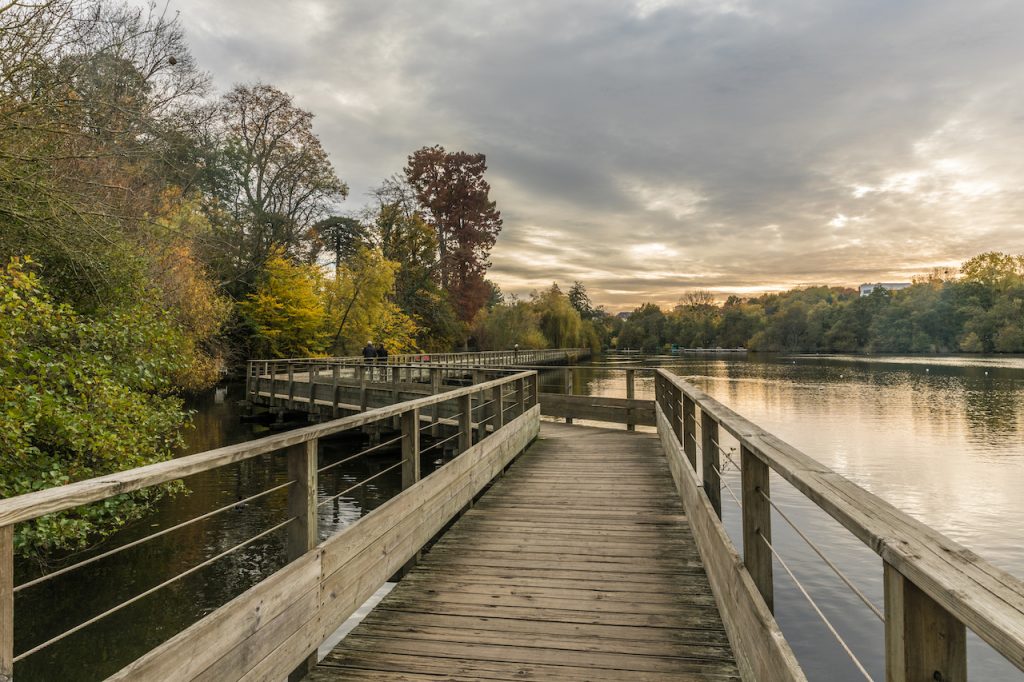 Bords de l'Erdre