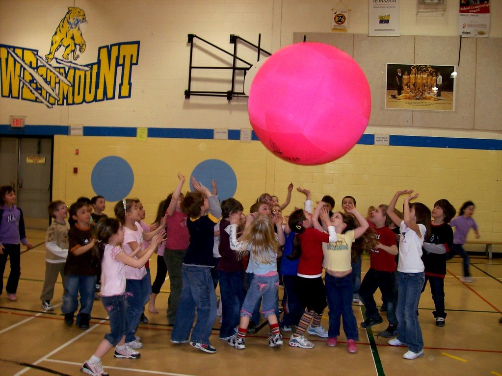 Le kinball : un nouveau sport amusant et compétitif