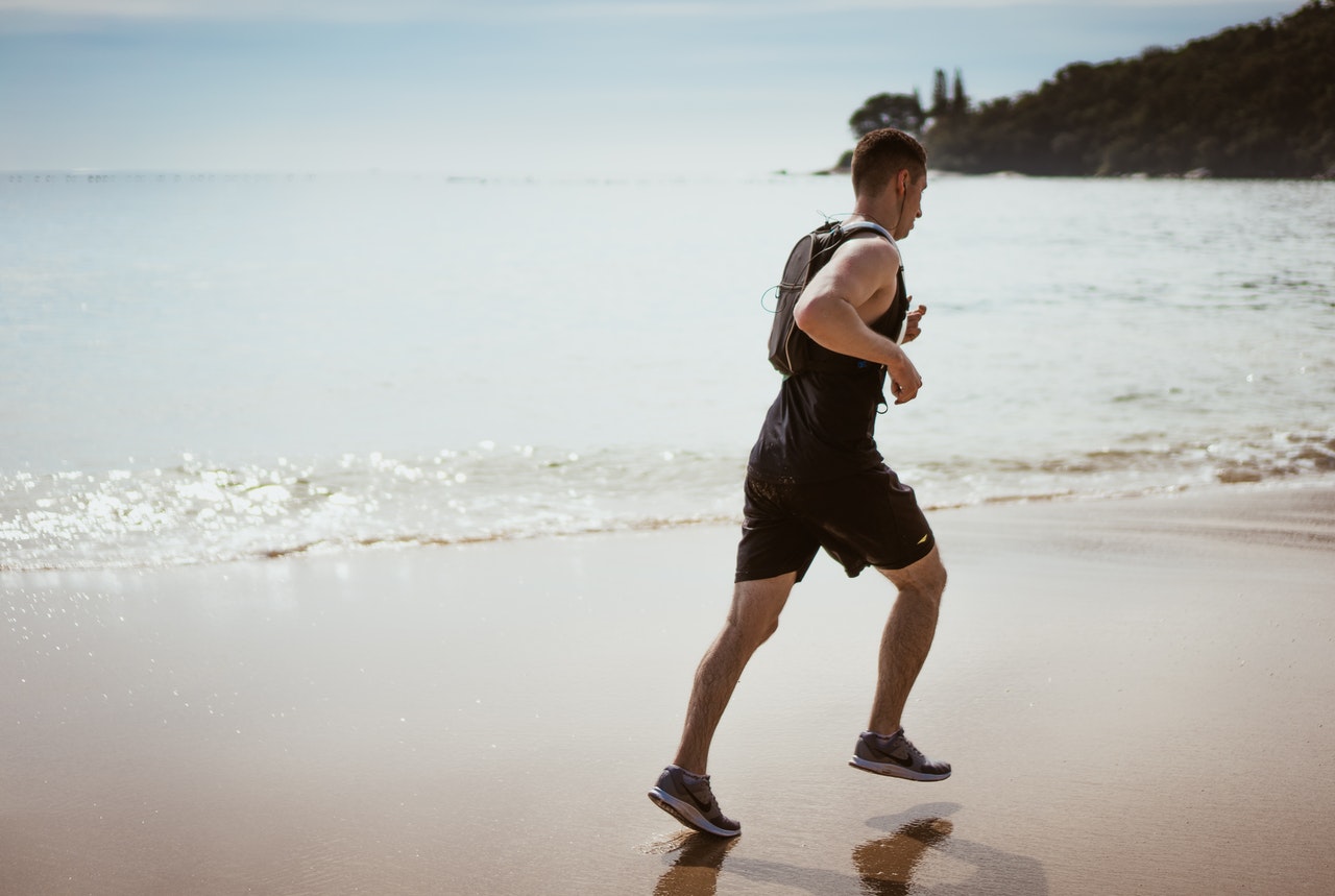 Quel est le rôle des différentes formes de protéines pour les sportifs ?