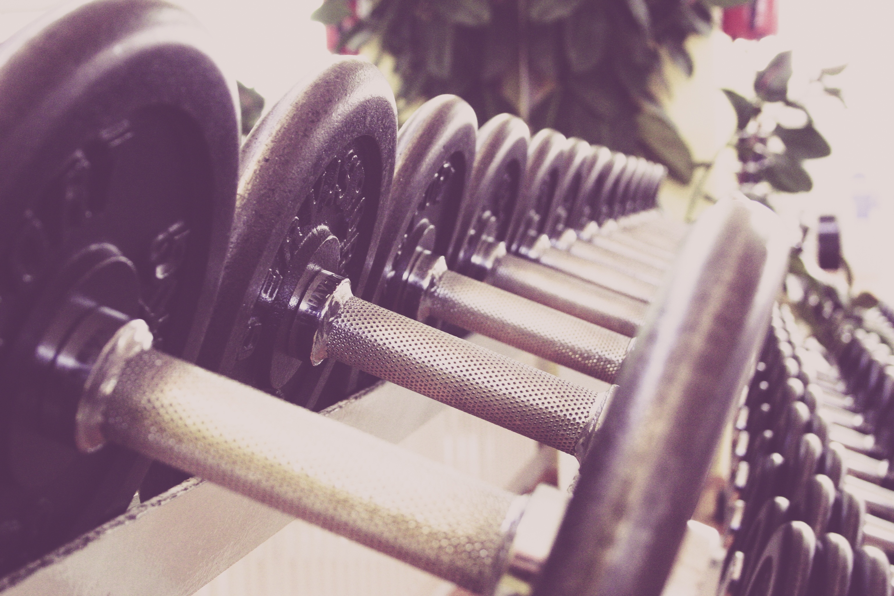 Quels matériels choisir pour faire du fitness ou de la musculation à la maison ?