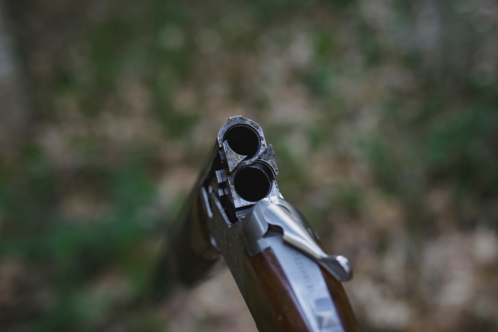 Sport de tir : comment bien choisir sa carabine à plomb ?